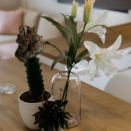 דירה Serenity By Corfu Collection *